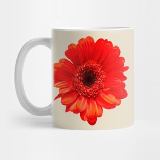 Red Gerbera Daisy Head Mug